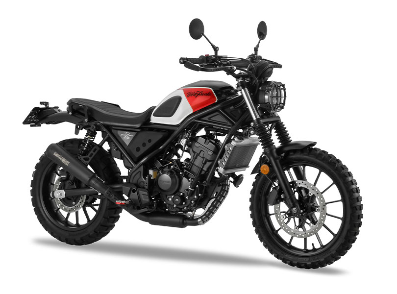 CL250 SCRAMBLER×FLATTRACKER