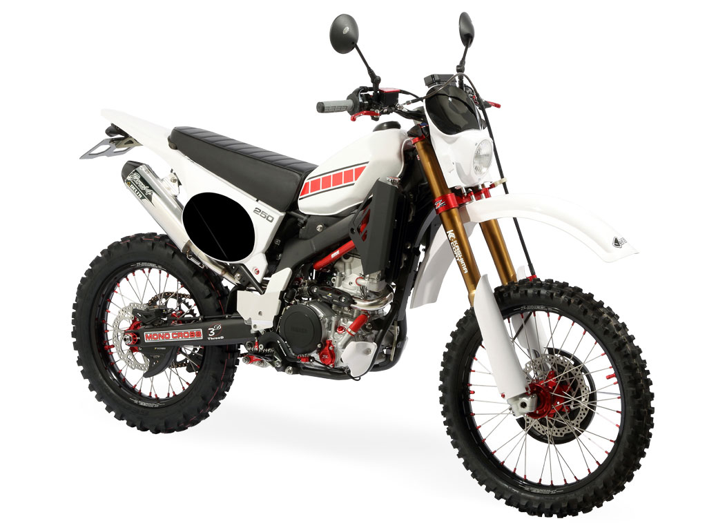 WR250R レトロ